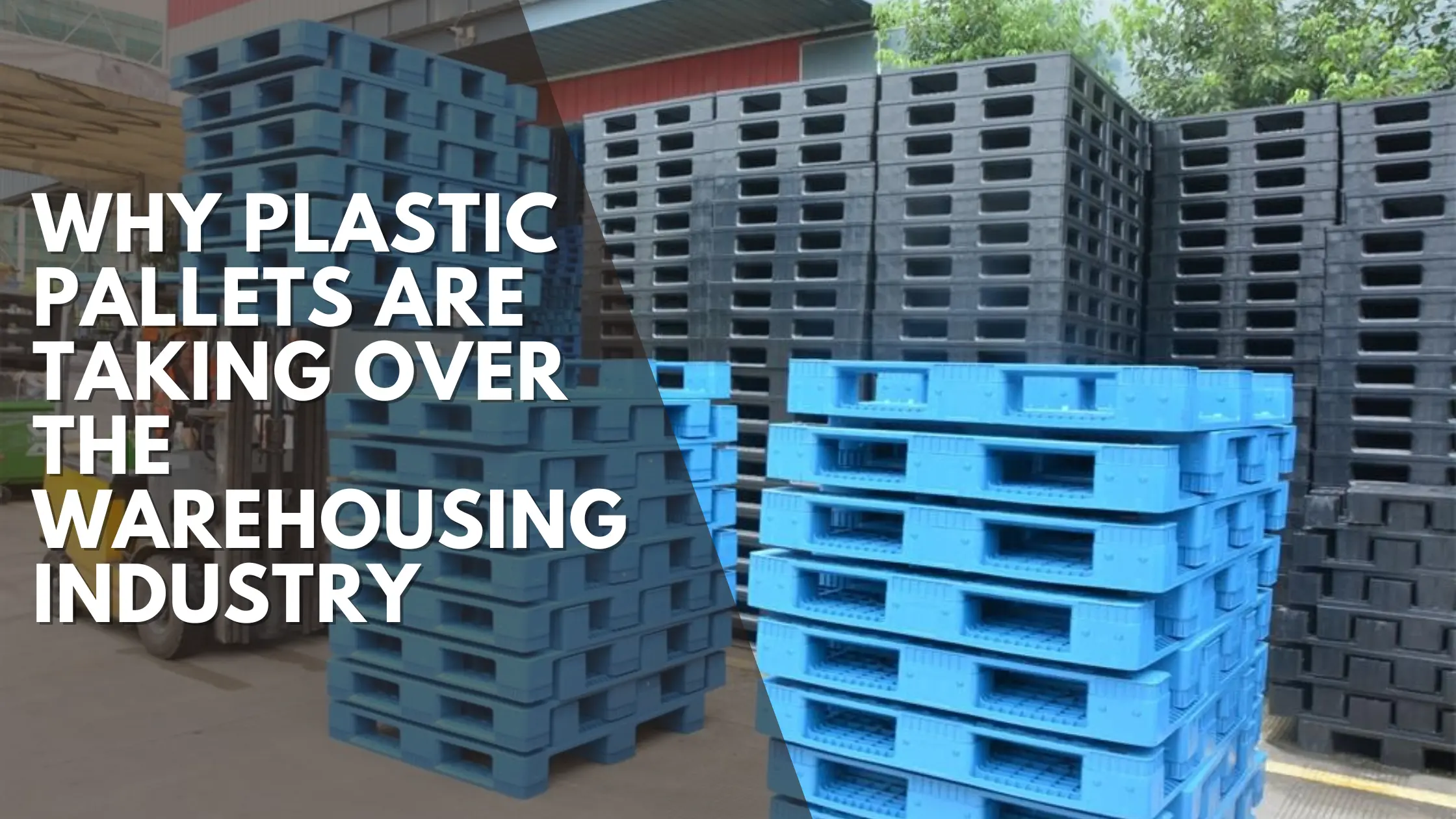 Why Plastic Pallets Are Taking Over the Warehousing Industry?