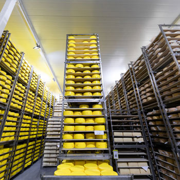 Our Production Capacity Our Production Capacity